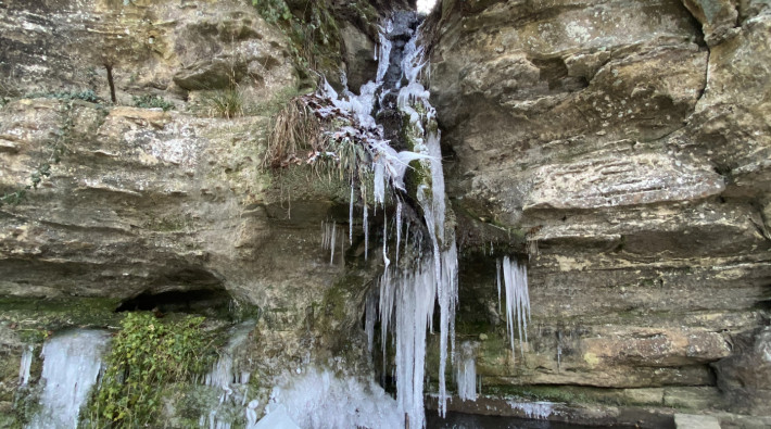 image00013