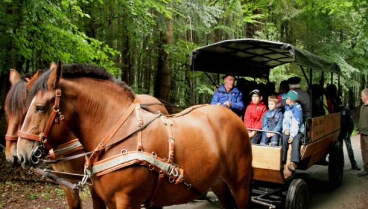 DISCOVER Kutschentour  - IMG 1